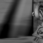 _DSC4078